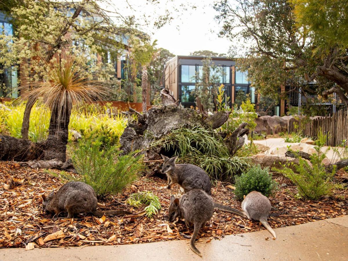 Wildlife Retreat At Taronga Sidney Exterior foto